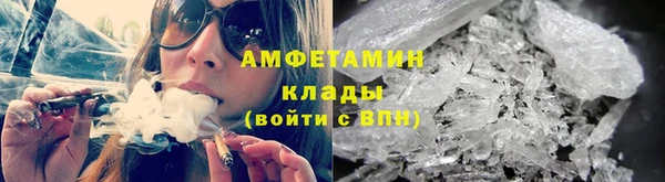 трава Наволоки
