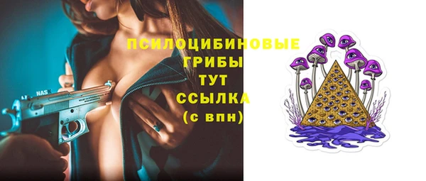 прущая мука Надым