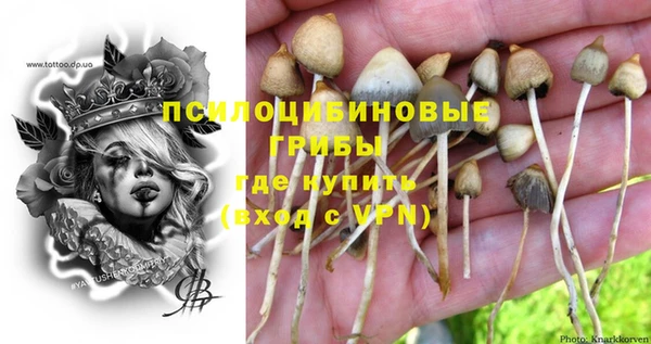 прущая мука Нефтегорск