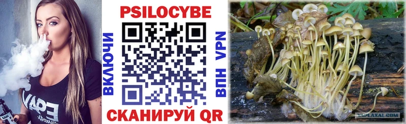 Галлюциногенные грибы Psilocybe  Кремёнки 